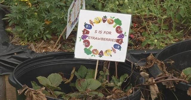 Hamilton County's Step ONE Program accepting applications for Teaching Garden Grants