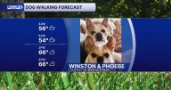 Your August 29 dog walking forecast