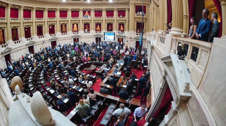 Las claves de la Ley de Financiamiento Universitario y el aumento de fondos al Garrahan que tratará Diputados