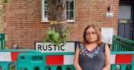Outrage after South London tree attacked with chainsaw 'to stop resin dripping onto car'