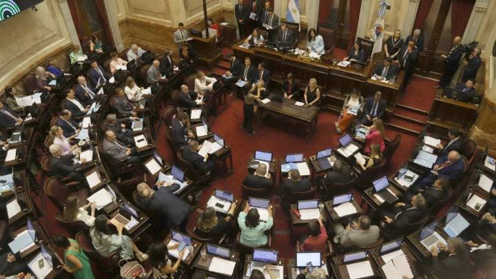 La oposición dictaminó la emergencia en pediatría: el kirchnerismo pide votarla el jueves