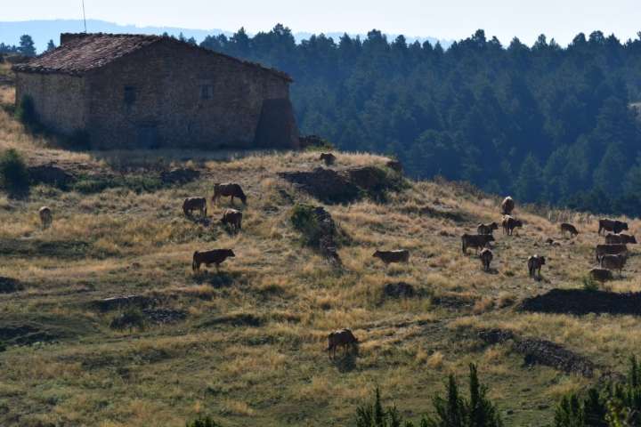 Chunta se posiciona en contra del macroalmacén de CO₂ proyectado en el Maestrazgo