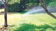 Watering Ban in effect for Pierrefonds-Roxboro, DDO, Senneville, and Sainte-Anne