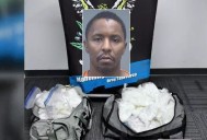 Man caught in Canfield with 88 pounds of meth sentenced to 18 years