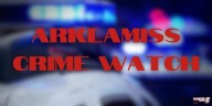 Shots fired outside Monroe Waffle House lands Texas man in jail