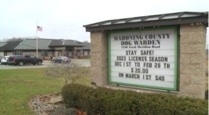 Dog found dead with bullet wounds near Struthers High School bus garage