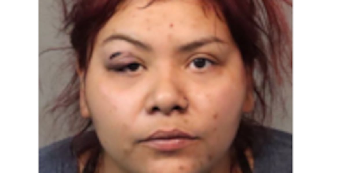 Woman who killed 12-week puppy sentenced to 3 years