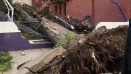 Persisten afectaciones en Tlaxcala por temporada de lluvias