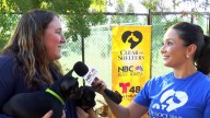 Help Clear the Shelters at the Tri-City Animal Shelter – NBC Bay Area