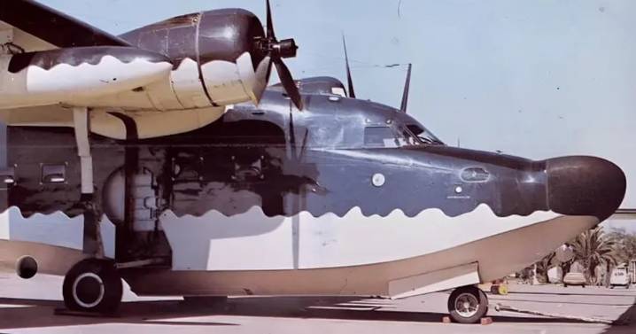 FACH señala que restos de avión hallados en Parque Nacional Morro Moreno corresponderían a nave accidentada en 1977