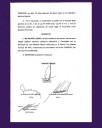 LLA no podrá participar de la elección en Alberdi: se inscribió 24 días después del plazo legal