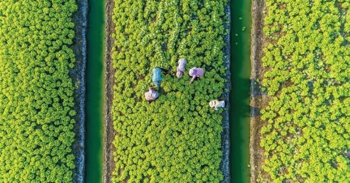 Threat of ICE Raids a Concern in Pennsylvania Ag Industry