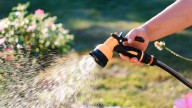 The Genius Hack To Store The Hose In Your Yard & Keep It Out Of Sight
