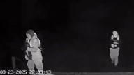 Contratistas forestales y violencia en el sur: Mucha baja estadística esconde una extorsión