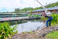 Wailua Marina back to normal after spill