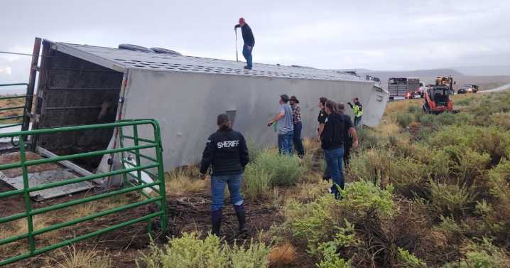 4 horses killed in San Juan County semi truck accident