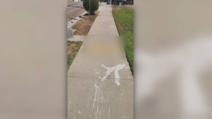 Israeli-American Council HQ vandalized