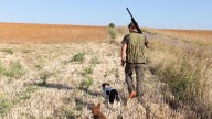 Pacma acusa a la Junta de "poner en riesgo" los montes al permitir la caza en plena alarma extrema por incendios