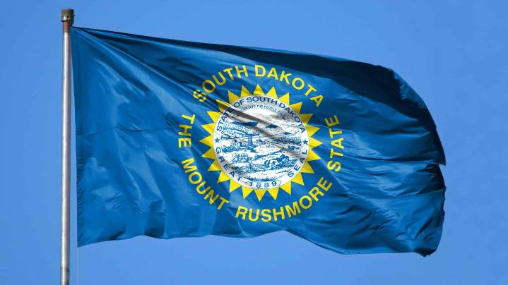 Which cities in South Dakota have a city flag?