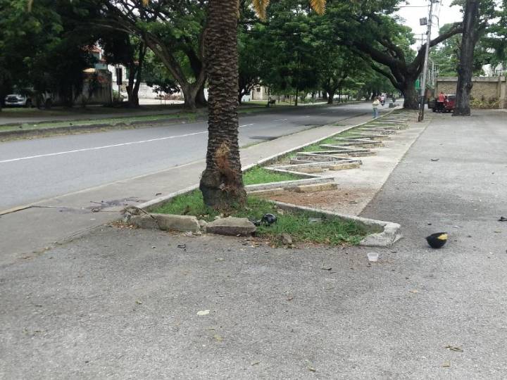 Murió joven tras chocar bruscamente contra un árbol