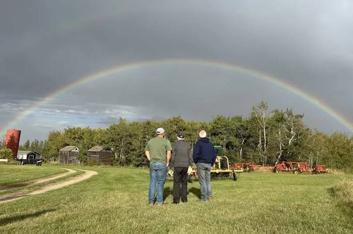 Rainfall a mixed blessing for Saskatchewan producers: Crop report
