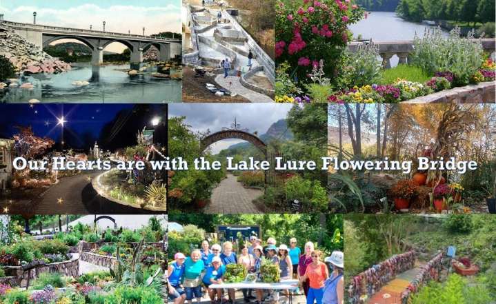 End of an Era: Lake Lure’s Beloved Flowering Bridge Faces Demolition After Helene Damage