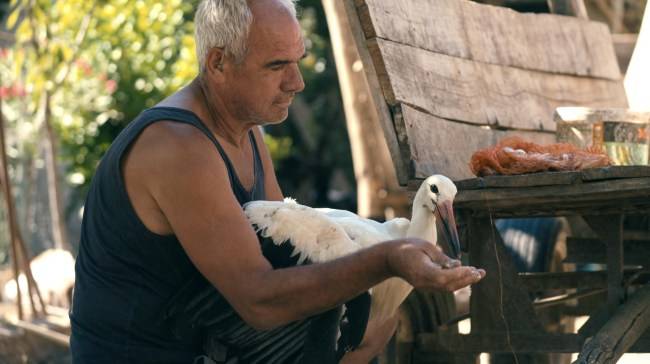 'The Tale of Silyan' Review: 'Honeyland' Follow