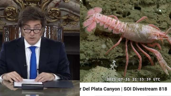 La cadena nacional de Javier Milei no llegó ni al 1% de las visualizaciones del streaming del Conicet