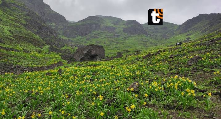 Santuario de Amancay: un tesoro natural de nuestra ciudad