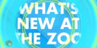 What's new at Potter Park zoo