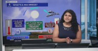 A Science Snippet: What is a sea breeze? How does this contribute to summer time showers?