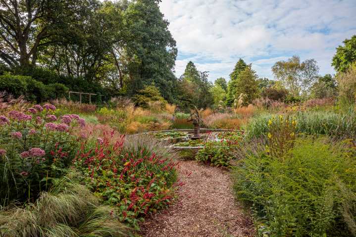 'Knoll offers a masterclass in the adaptability of grass': The Dorset garden that went from tourist attraction to specialist nursery