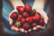 ¿Cómo conservar las fresas frescas por más tiempo? Trucos para un almacenamiento correcto y que no se pudran