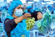 Afirman que la nueva Ley Agraria es una apuesta por el empleo y la competitividad