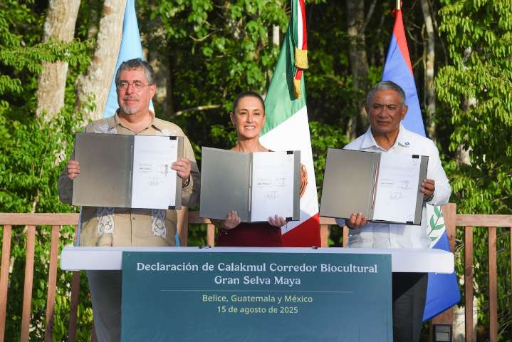 WWF felicita a México, Guatemala y Belice por la Declaración de Calakmul