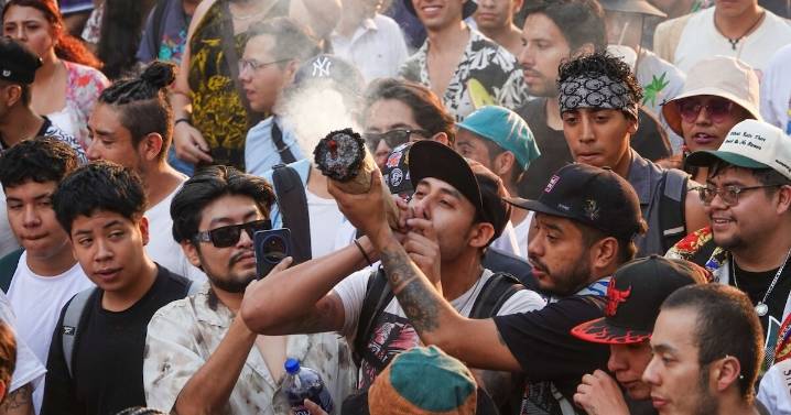¿CDMX ya tiene puntos legales para fumar marihuana? Todo lo que debes saber