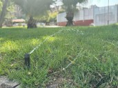Murcia | Murcia implementa un sistema de riego inteligente para evitar el desperdicio de agua en sus jardines