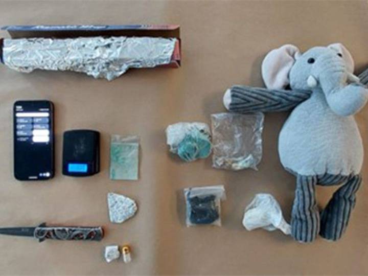 Kingston Police find drugs hidden in stuffed animal
