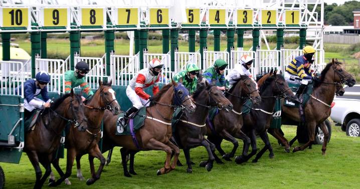 Course specialist to win for seventh time at track – Jason Heavey's Wednesday racing tips