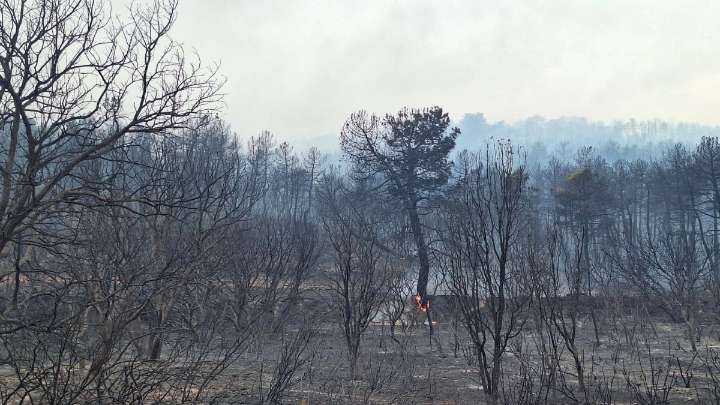 Evolución de los incendios en Castilla y León: Molezuelas-León, sin llama en el perímetro tras una "noche tranquila"