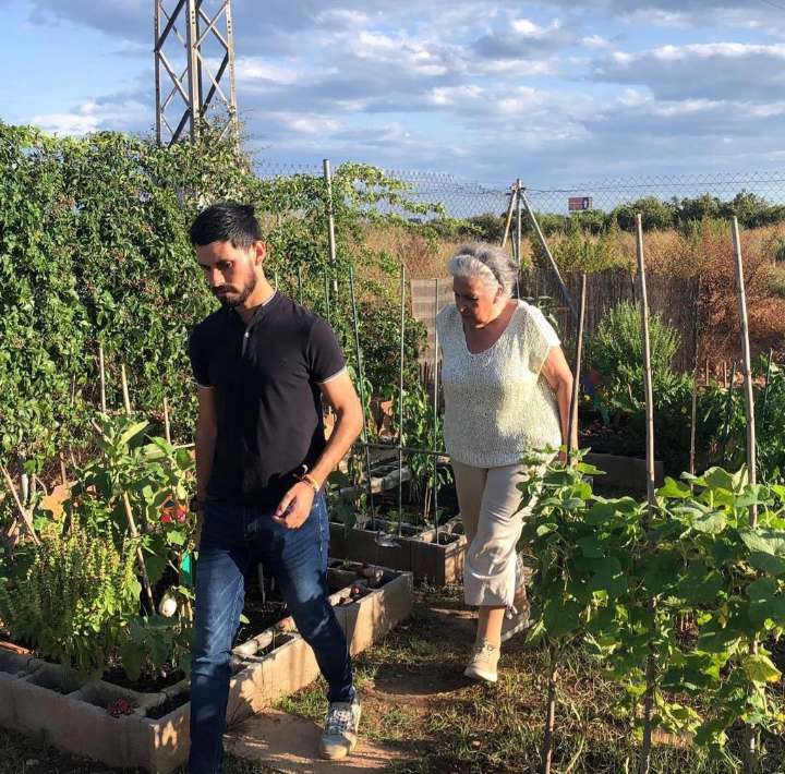 Luz verde a la convocatoria para el uso de los huertos urbanos de Castellón