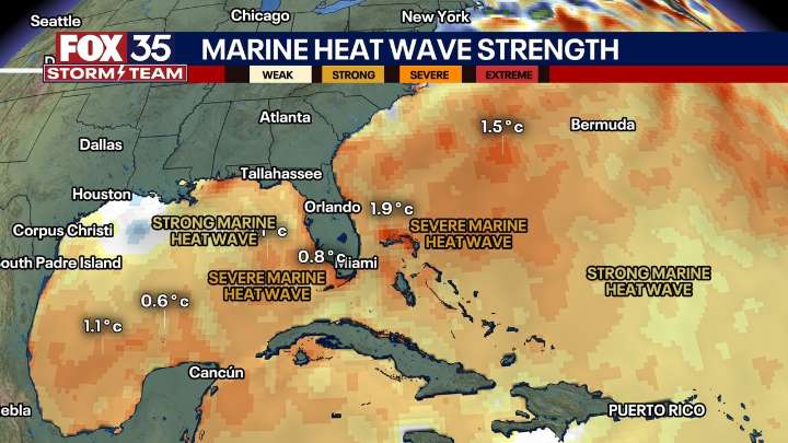 Florida faces potential heightened risk of intense hurricanes due to marine heat wave
