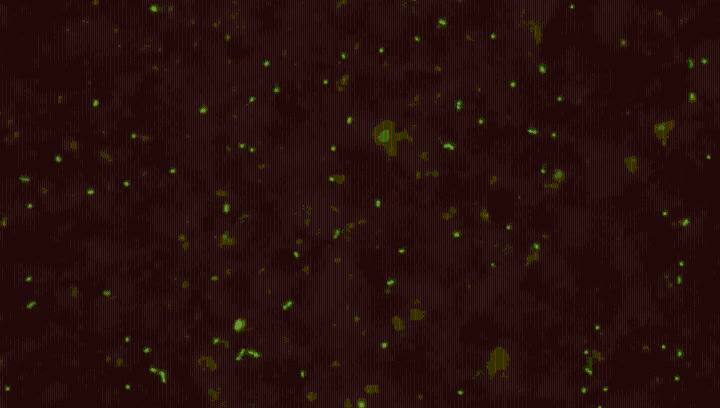 Ancient Microbes Revived By Scientists After 100 Million Years Under The Seafloor
