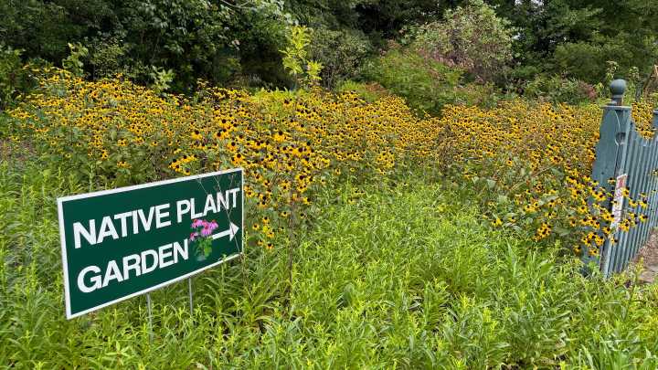 How NC Cooperative Extension and the Arboretum serves…