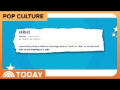 Cambridge Dictionary Adds 6,000 Words, Including Skibidi, Delulu
