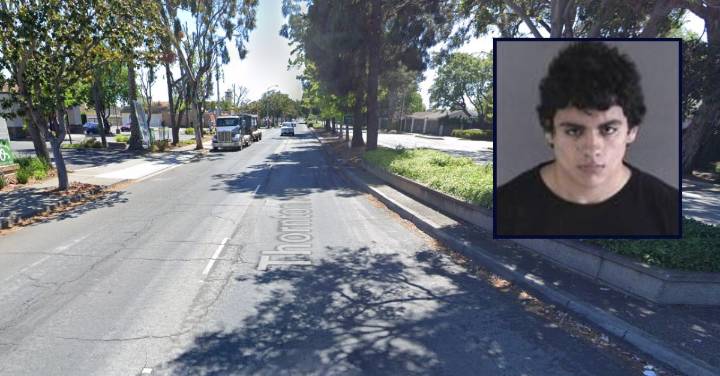 Teen who wanted 'notoriety' livestreamed stabbing on Discord, then wrote apology letter: Cops