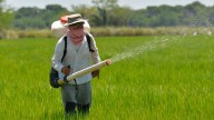 Vía libre de la SIC al acuerdo entre productores e industriales para estabilización del sector arrocero