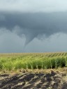 National Weather Service Confirms Two Tornadoes in Northern Iowa This Summer 🌪️