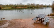 Man dies at Ensor's Pool beauty spot after going underwater while swimming