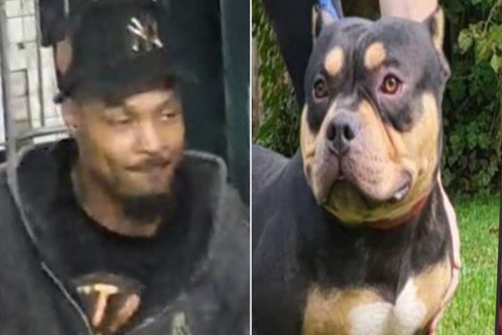 Police Looking for Man Who Stole N.Y.C. Subway Rider's Dog as He Slept